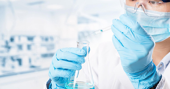 新聞動(dòng)態(tài)