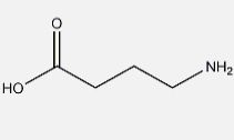 γ-氨基丁酸